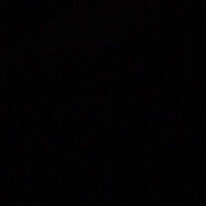 Meet your Posher, Peter